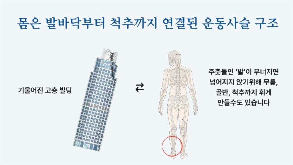 낫지 않는 허리 통증 근본 원인
